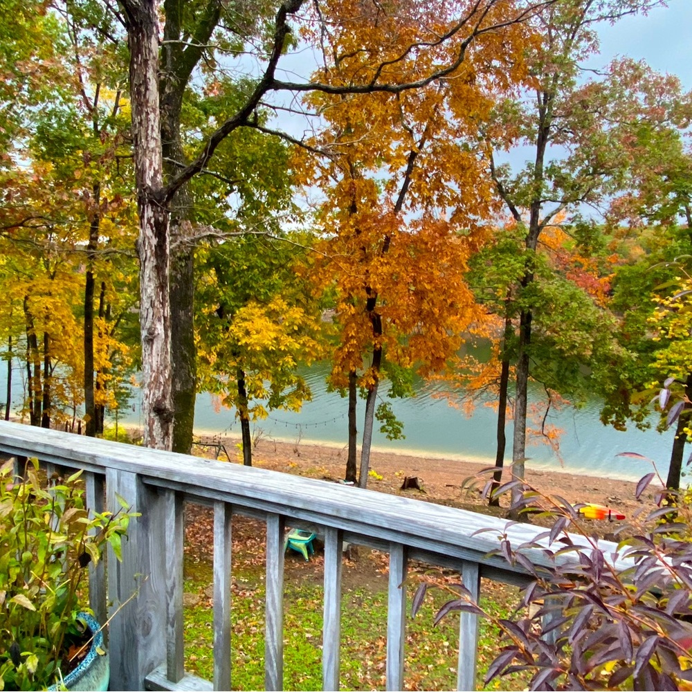 🍁It’s Fall!🍁 - Picture 3 of 4